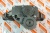4309500 Масляный насос Помпа KIT LUBE PUMP для Cummins QSX15/ISX15 Взаимозаменяемые номера: 3800753, 4024814, 4955954, 2881757, 4026691, 3687527, 2892706